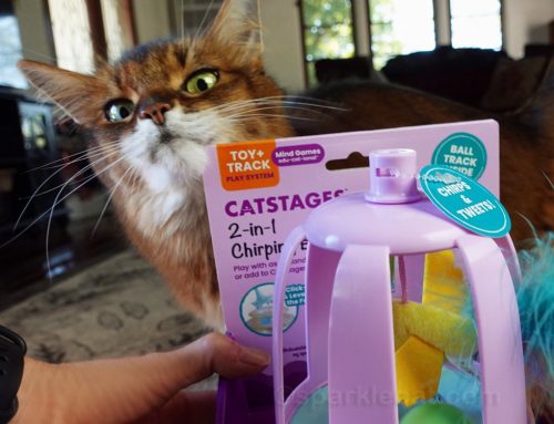 Caturday Photo Flubs