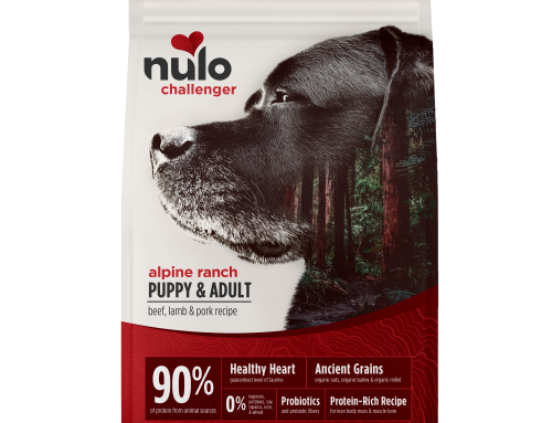The Best Dry Dog Foods: 2026 Top Picks