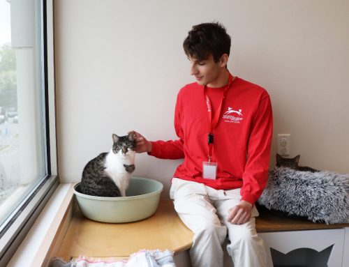 Volunteer Spotlight: Eric Greene