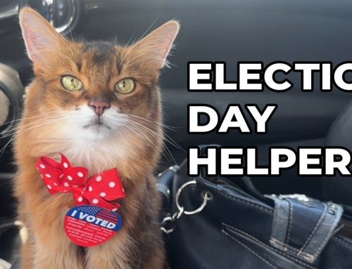My Job on Voting Day