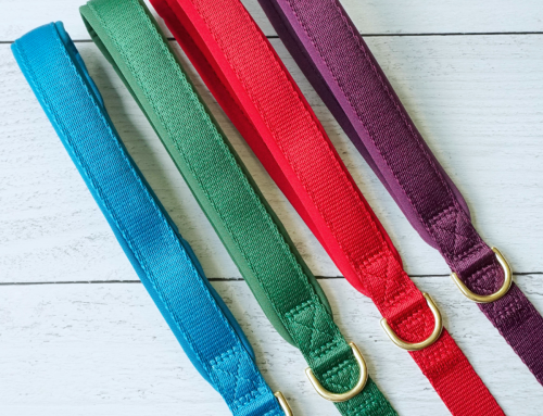 Best Dog Leash Material: Webbing, Rope, Waterproof, Leather & Retractable Leashes Compared