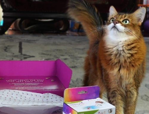 FedEx Destroyed a Nice Gift Box