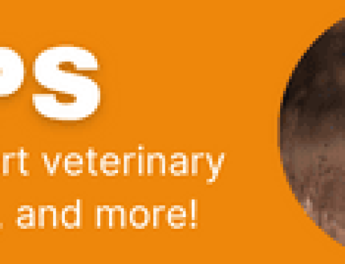 Diabetes Insipidus in Dogs